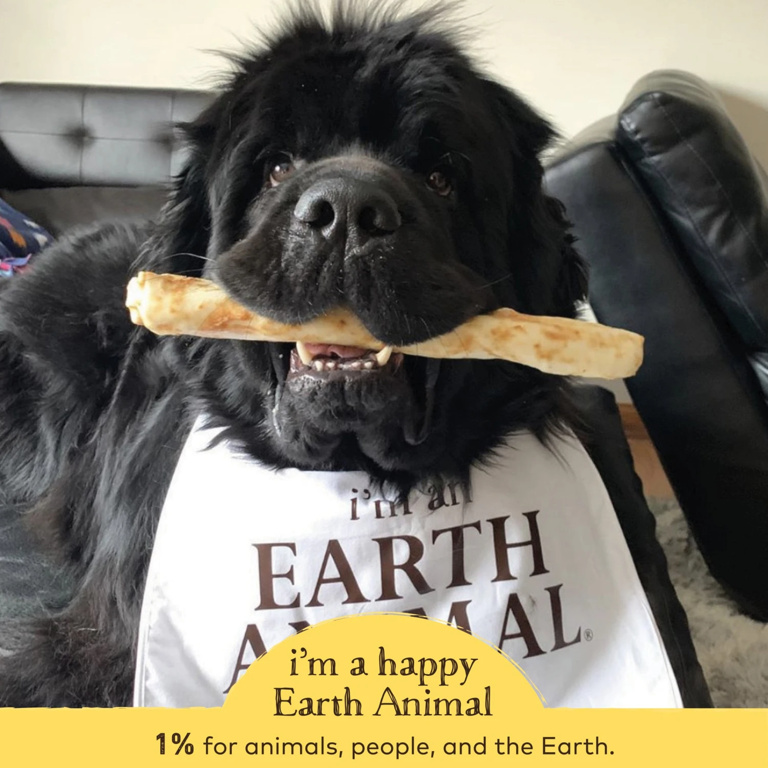 Earth Animal No-Hide Peanut Butter Single Chew For Dogs - Image 9