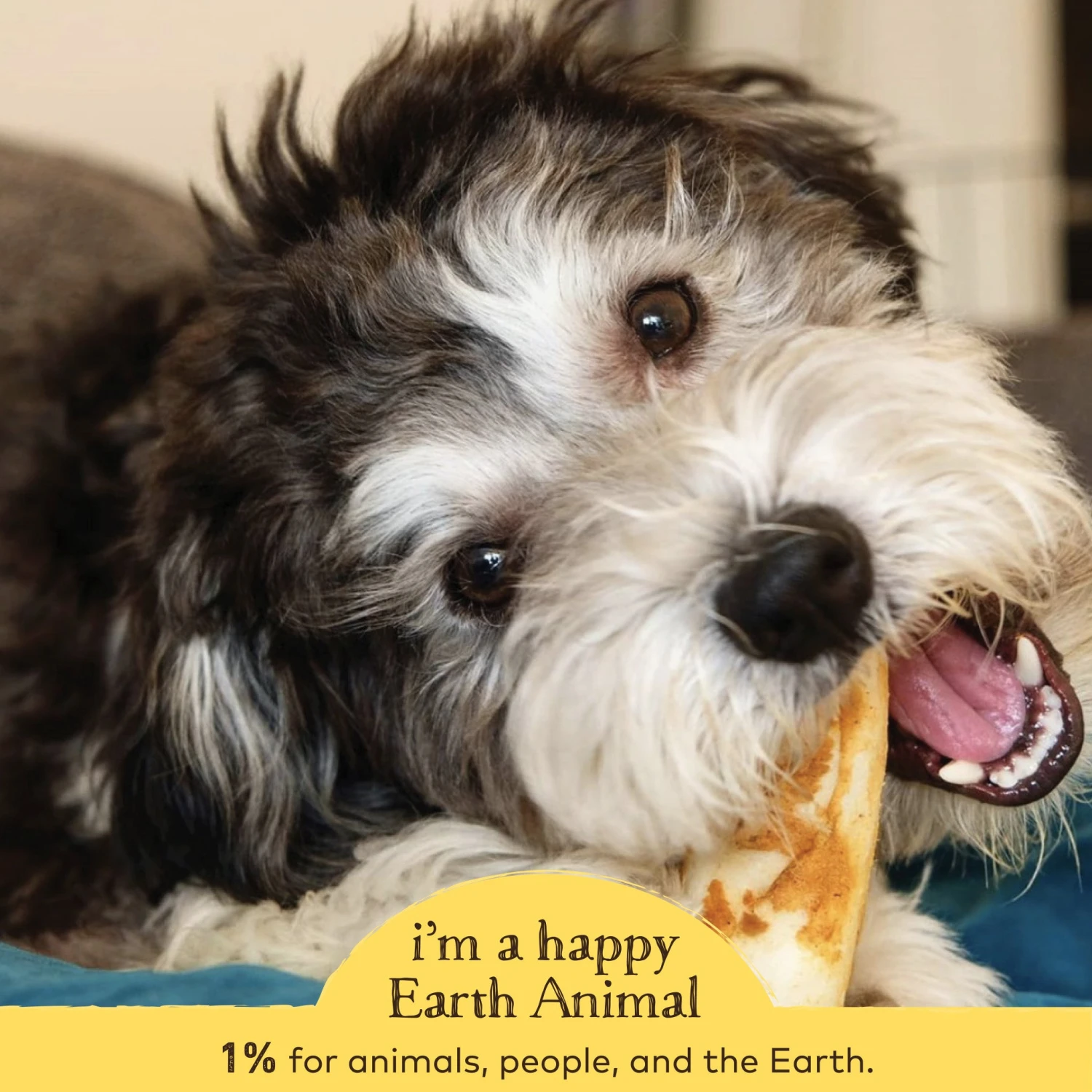 Earth Animal No-Hide Peanut Butter Single Chew For Dogs - Image 3