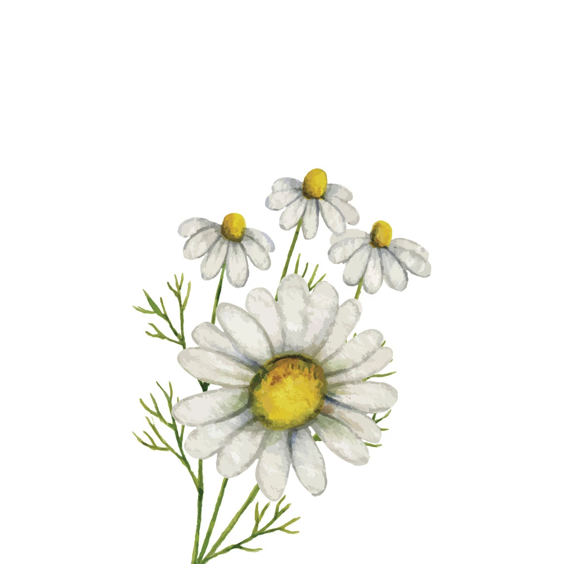 TrueBlue Super Easy Ear Wipes - Image 3