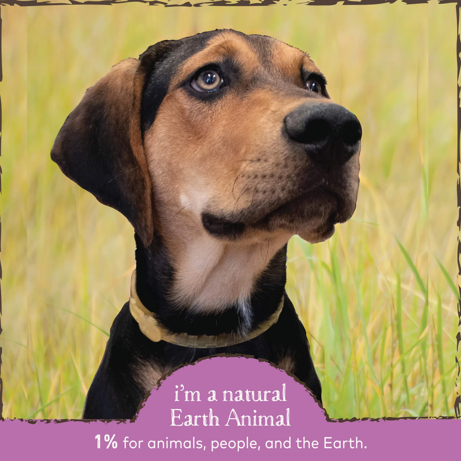 Earth Animal Nature's Protection Daily Internal Powder For Dogs & Cats - Image 5