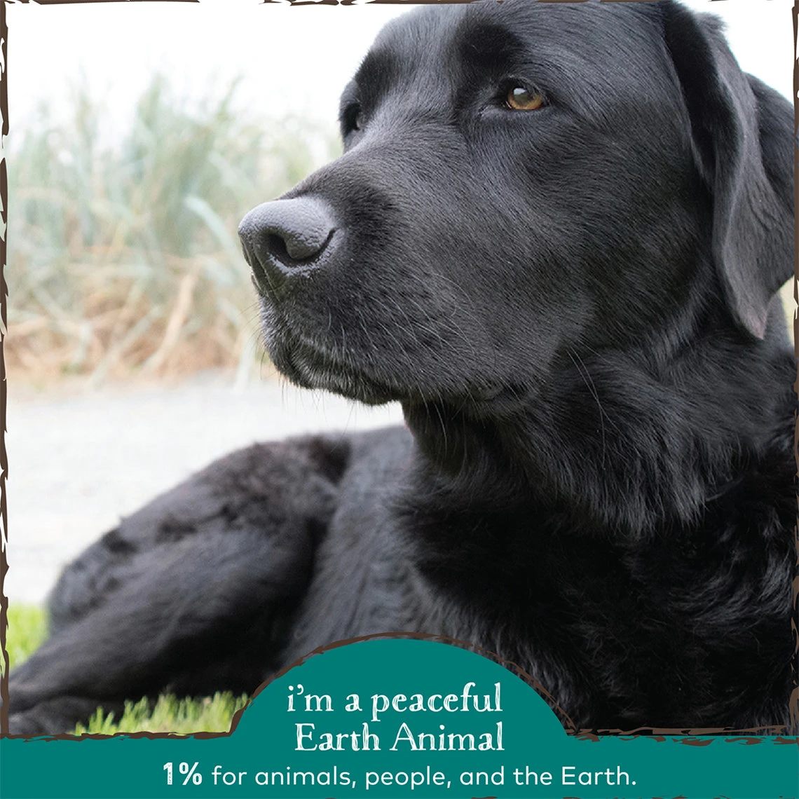 Earth Animal Herbal Topical Remedies Clean Eyes Wash For Dogs - Image 5