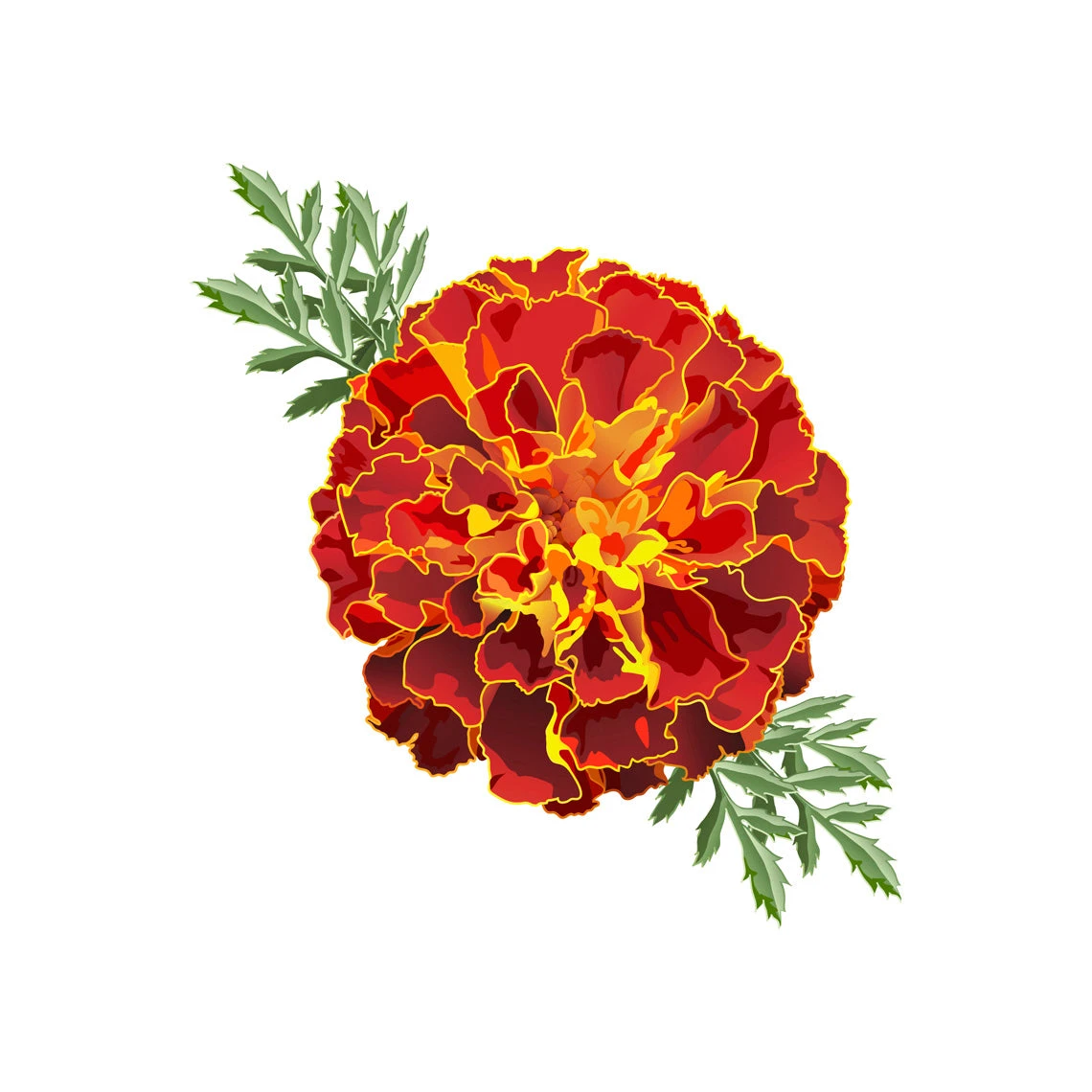 TrueBlue Super Easy Ear Wipes - Image 4