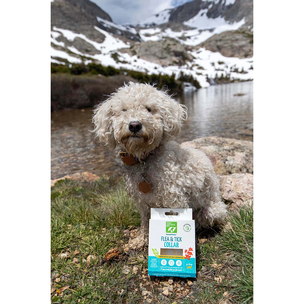 Only Natural Pet EasyDefense Flea & Tick Dog Collar Multi Pack - Image 6