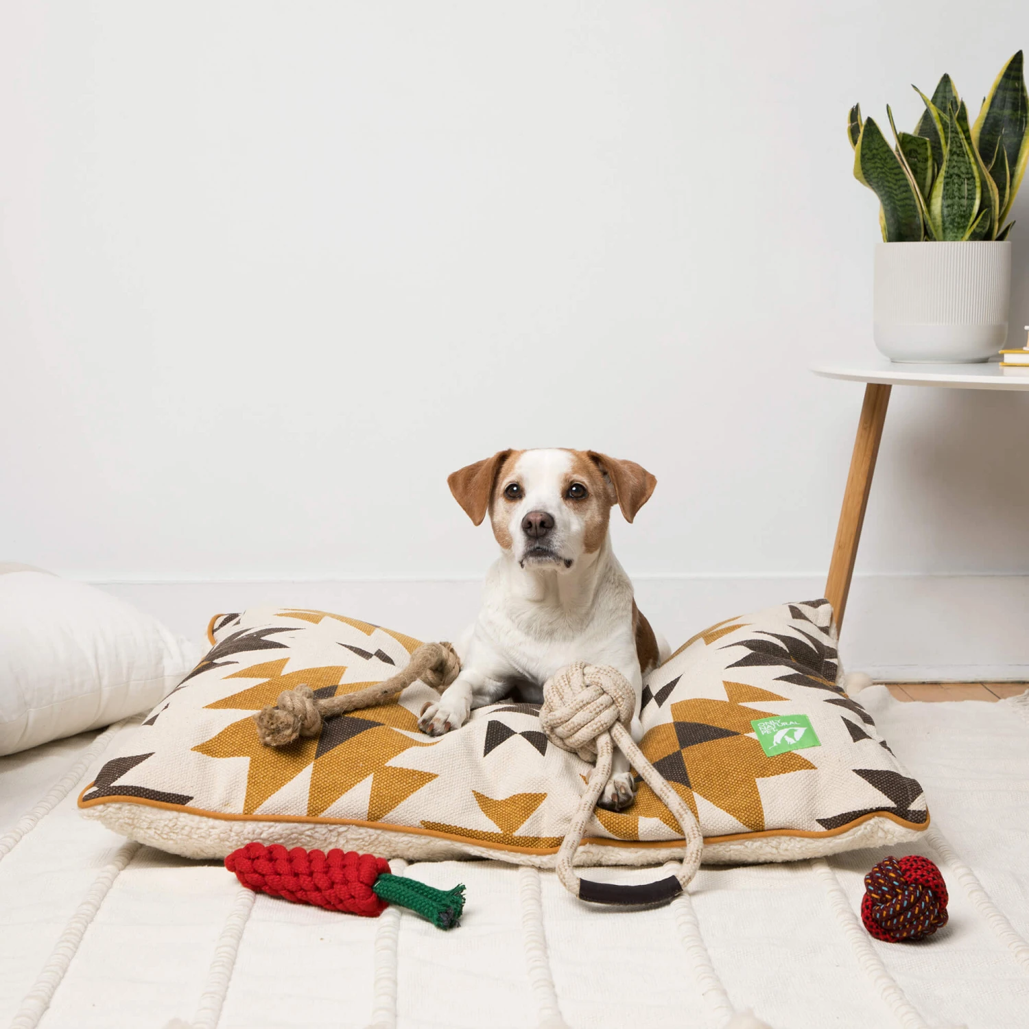 Only Natural Pet Eco-Friendly Regenerated Cotton Carrot Dog Toy - Image 6