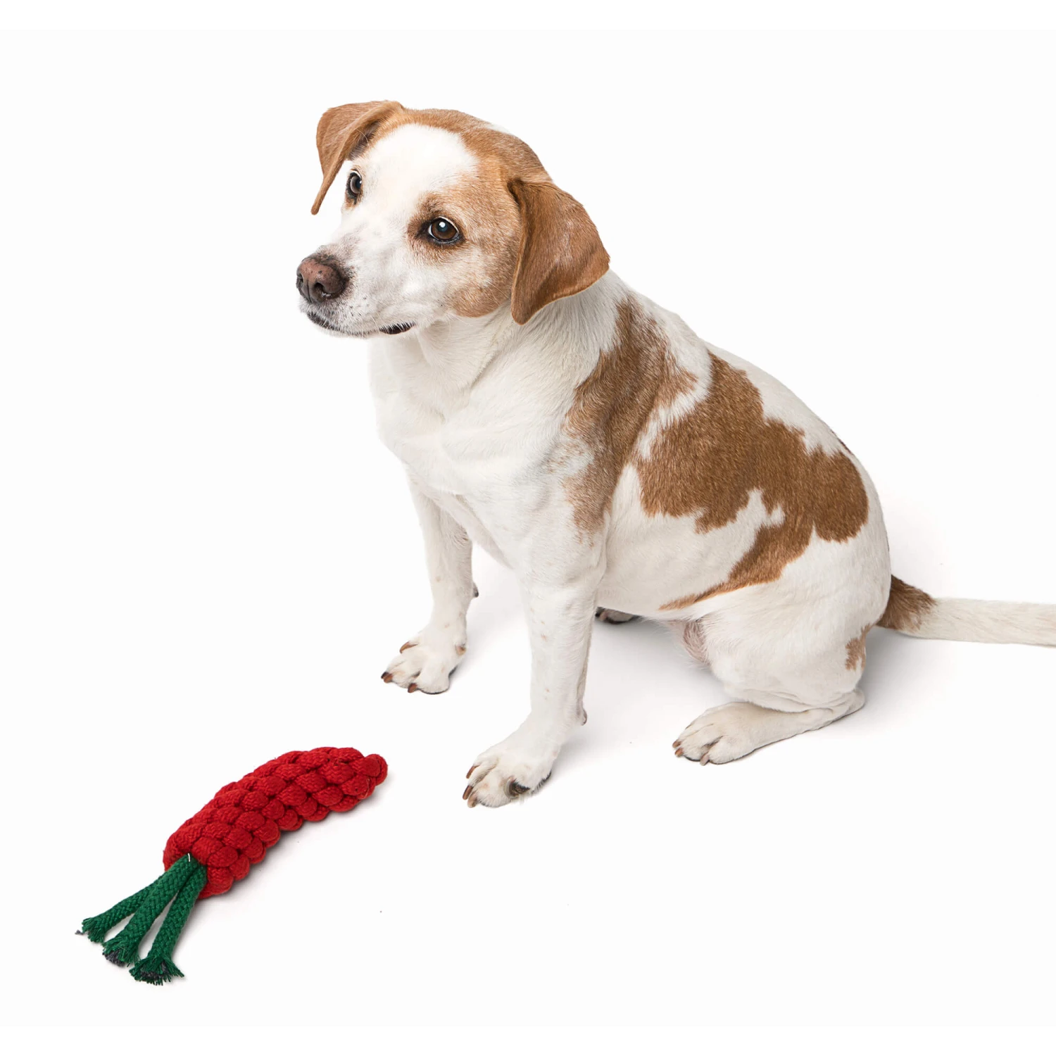 Only Natural Pet Eco-Friendly Regenerated Cotton Carrot Dog Toy - Image 4
