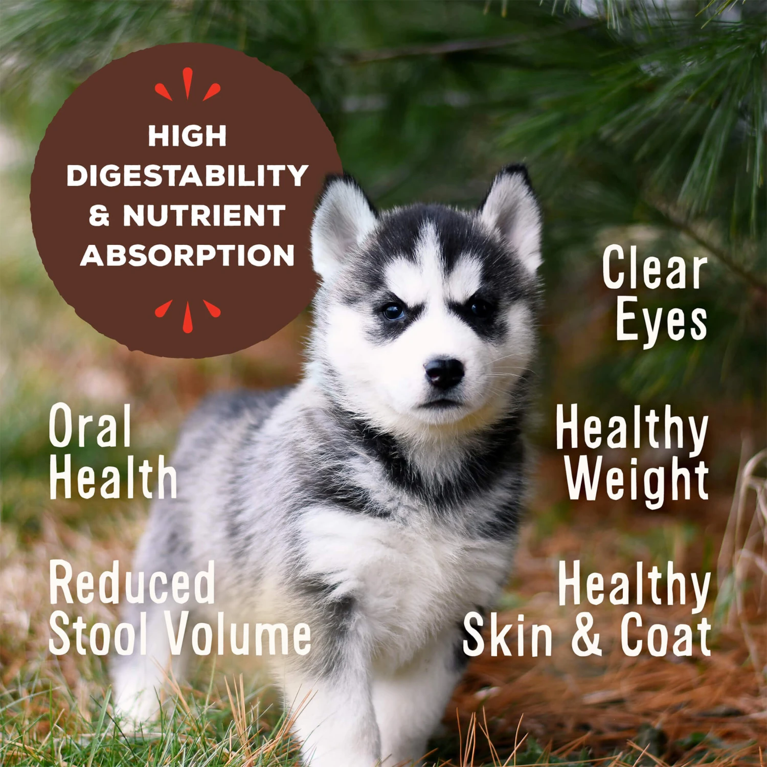 Primal Pet Foods Pronto Freeze-Dried Raw Puppy Food - Image 10