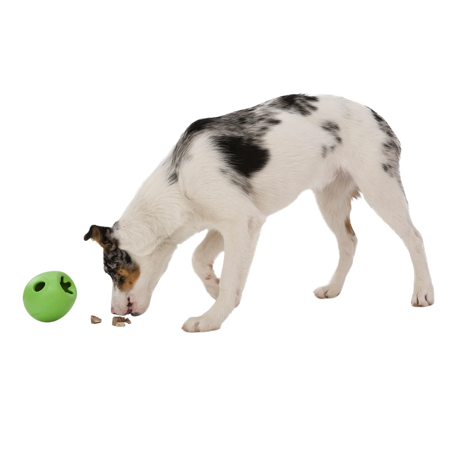 West Paw Rumbl Dog Puzzle Toy - Image 9